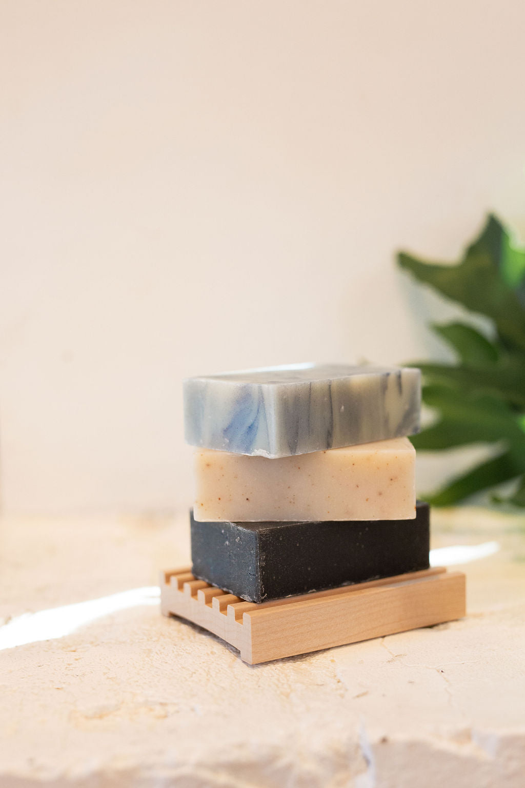 Earth + Ocean Bundle